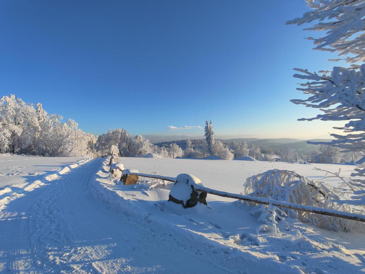 Wrzosowy Dwor - Spa Skomielna Czarna Buitenkant foto