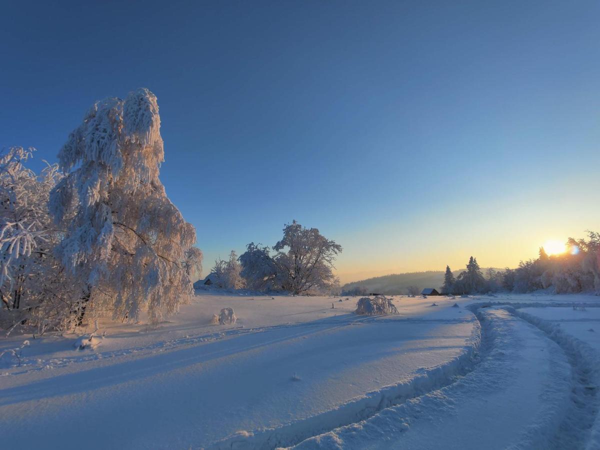 Wrzosowy Dwor - Spa Skomielna Czarna Buitenkant foto