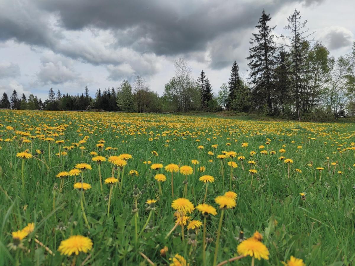 Wrzosowy Dwor - Spa Skomielna Czarna Buitenkant foto